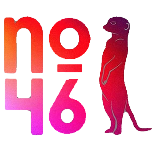 No46