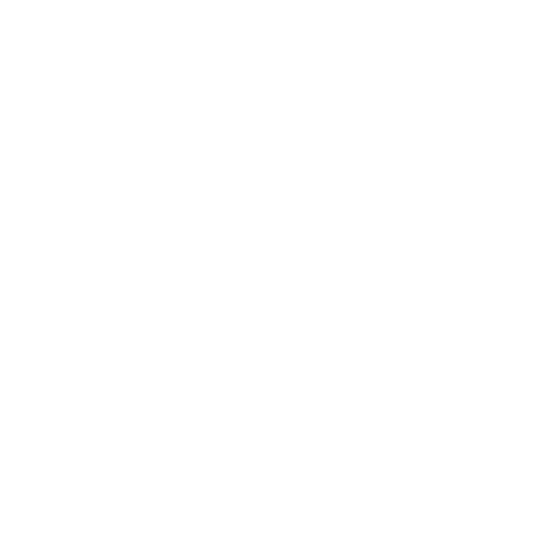 SOLOTÜRK Gösteri Filmi